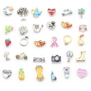 Memory locket charms