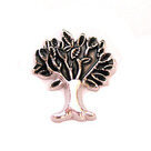 Charms Religion / Believe / Lifetree