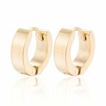 Oorbellen RVS gouden creolen