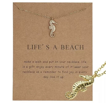 Beach seahorse