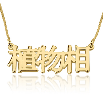 Naamketting 14K goud 'Chinees geschreven'