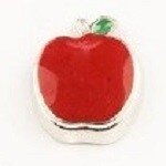 Memory lockets charm apple