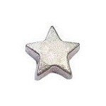 Memory lockets charm star