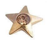 Memory lockets charm star strass goudkleurig