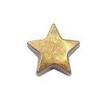 Memory lockets charm star goudkleurig 