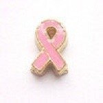 Memory lockets charm ribbon pink goudkleruig