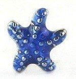 Memory lockets charm starfish