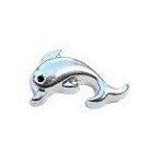 Memory lockets charm dolphin