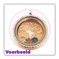 Memory locket RVS twist 30mm medaillon strass ros&eacute; (kleurig)