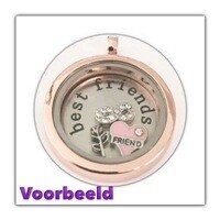 Memory locket RVS twist 30mm medaillon ros&eacute; (kleurig)