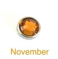 Memory lockets luxe birthstone november 