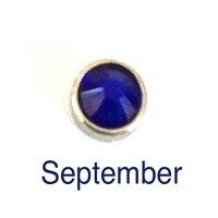 Memory lockets luxe birthstone september