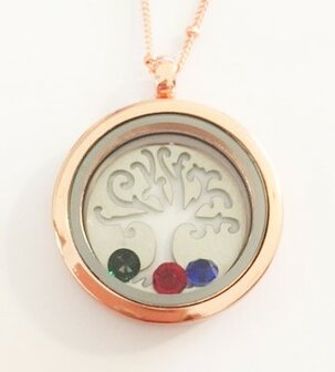 Complete RVS lifetree memory locket ros&eacute; 30mm