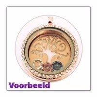 Memory lockets 30mm medaillon rosekleurig strass 