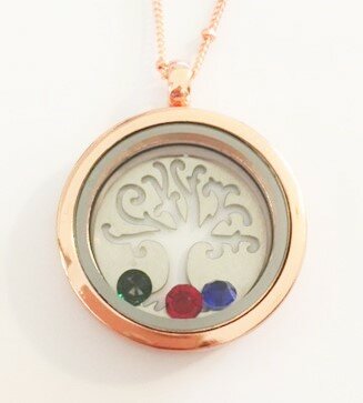 Complete RVS lifetree memory locket rosé 30mm