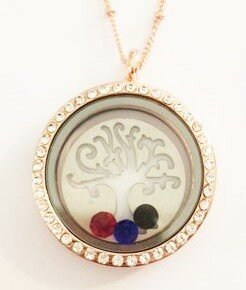 Complete RVS lifetree memory locket rosé strass 30mm