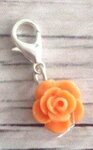 Memory lockets dangle rose orange