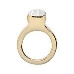 Memory lockets charm ring goud kleurig