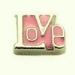 Memory lockets charm love goud kleurig