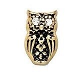 Memory lockets charm owl goudkleurig