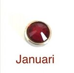 Memory lockets luxe birthstone januari