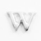 Memory lockets charm W