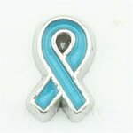 Memory lockets charm ribbon blue